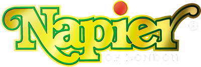 Napier-usa logo