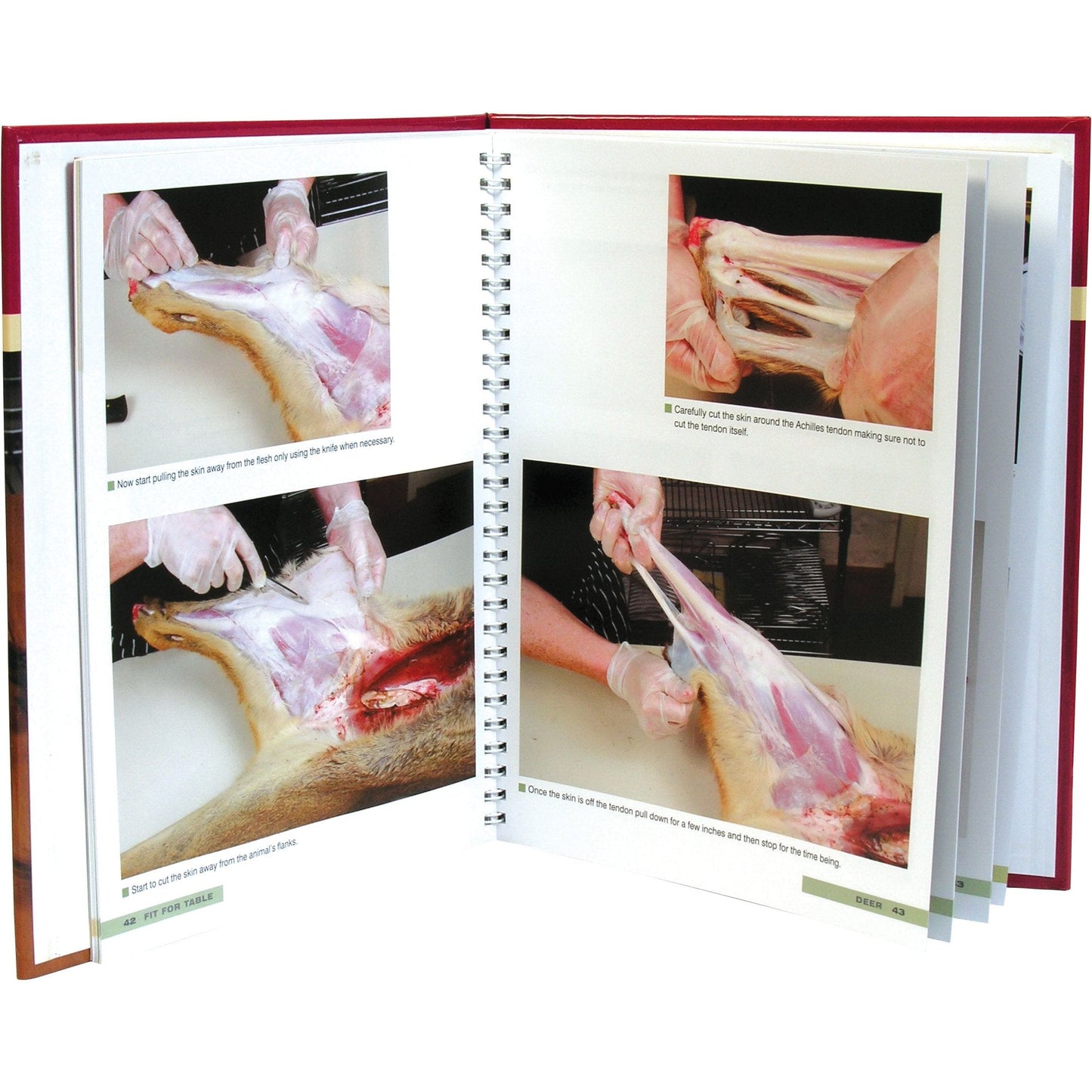 Fit for Table by Mike Robinson